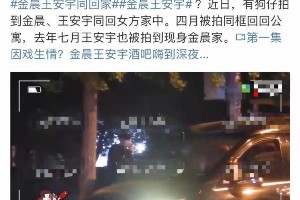 金晨王安宇深夜同回家中疑似恋情曝光