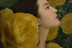 《玫瑰的故事》黄亦玫情感历程：刘亦菲与四男主结局解析