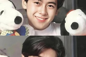 中国最富明星豪宅揭秘：林志颖刘德华成龙吴京黄晓明