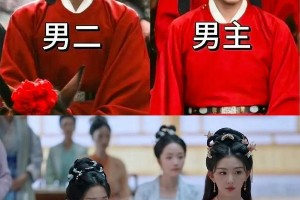 《榜上佳婿》选角争议：王子奇卢昱晓被配角碾压？